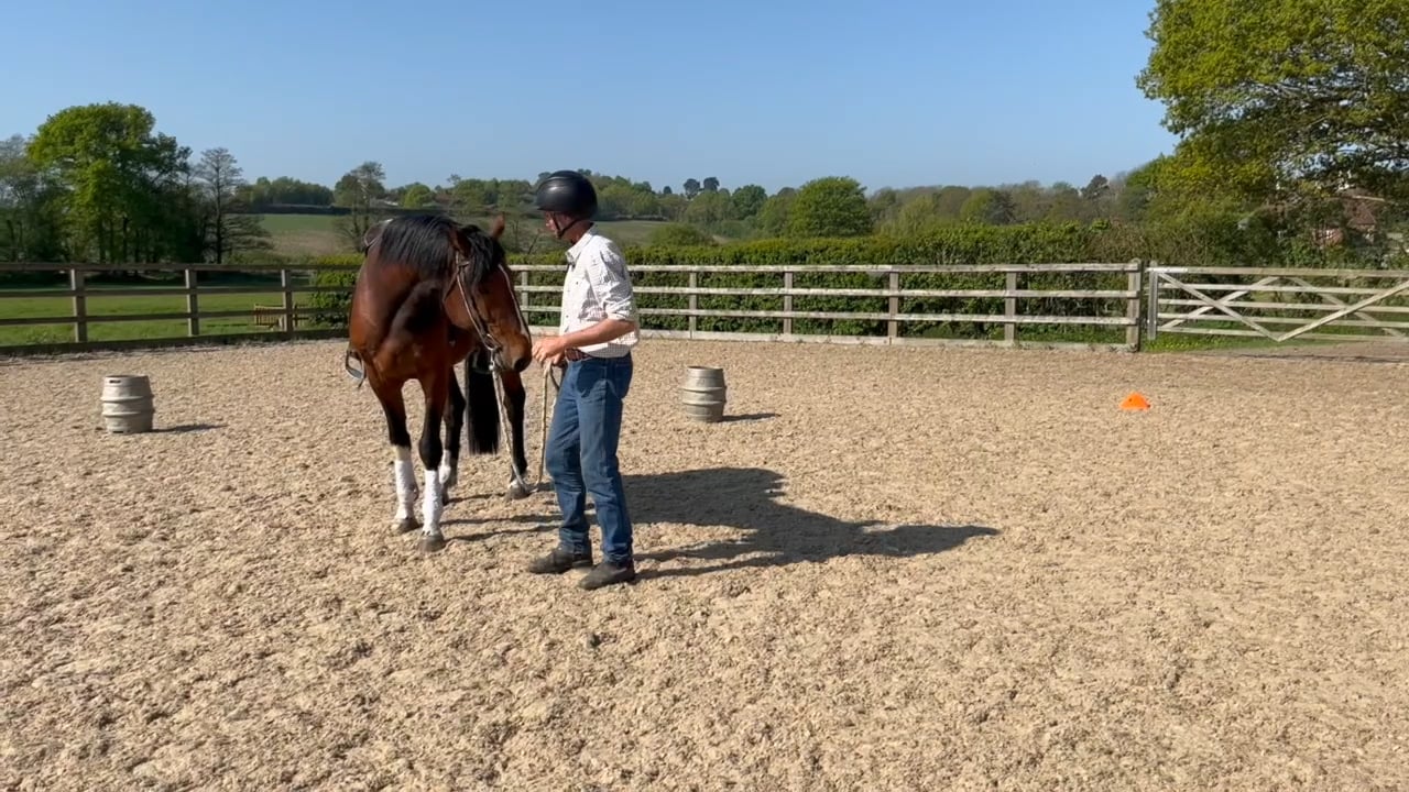 Hacking out a 4yo Stallion for the first time