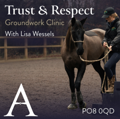 Groundwork Course Day with Lisa Wessels