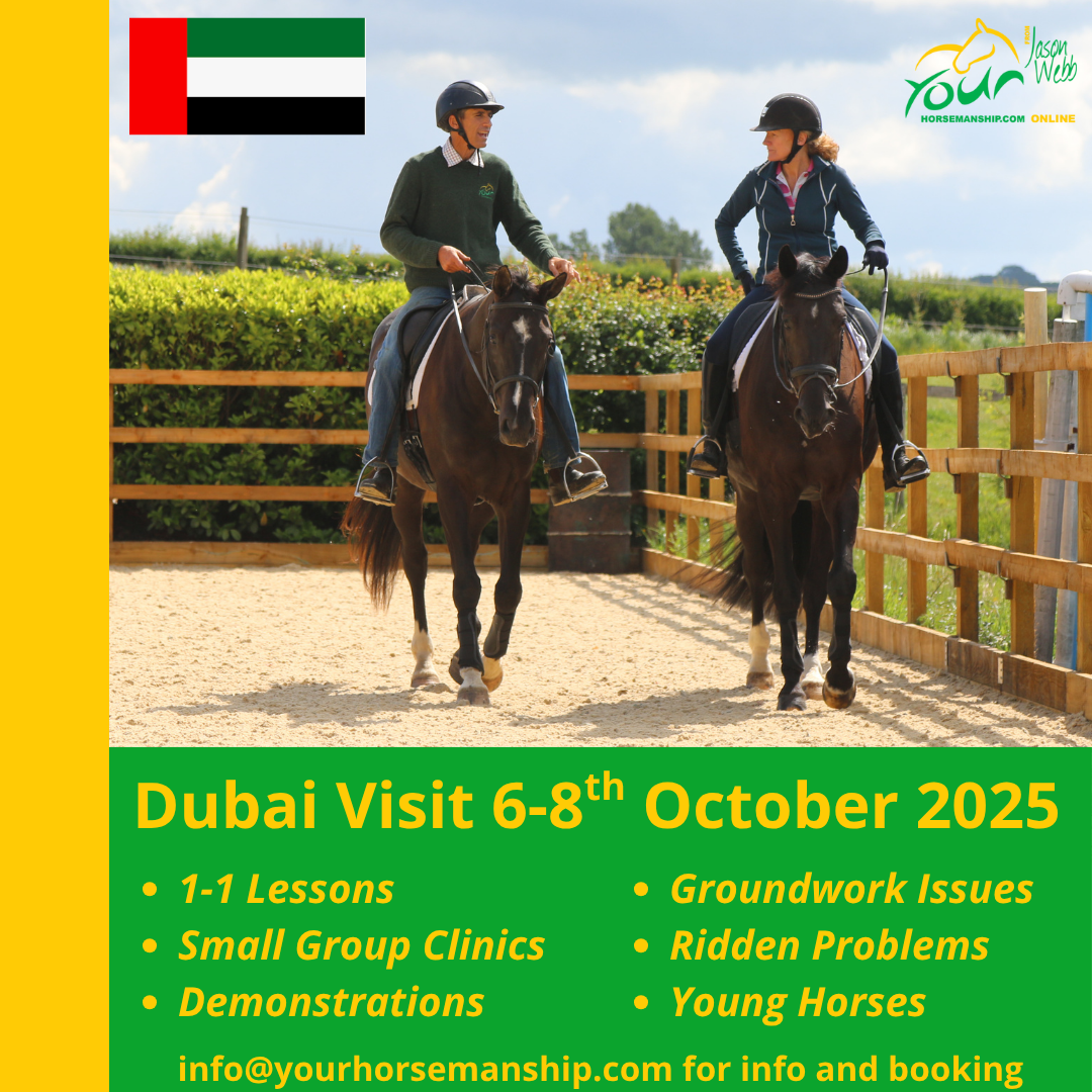 Dubai Clinics