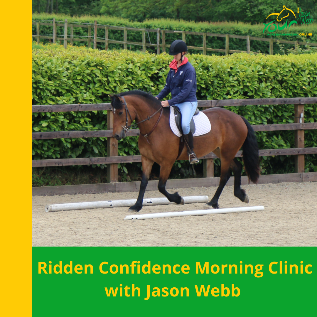 14th November Ridden Confidence Afternoon Clinic