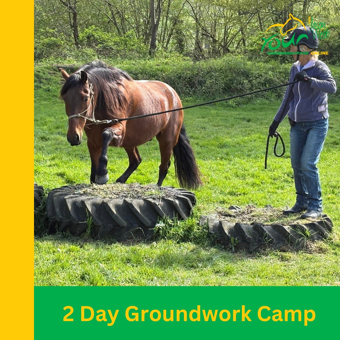16 & 17th April 2 Day Trust and Respect Groundwork Camp