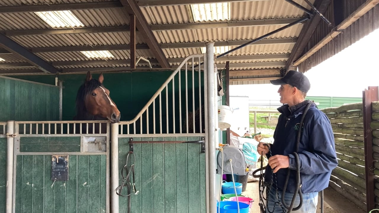 trending-tab-slider-image