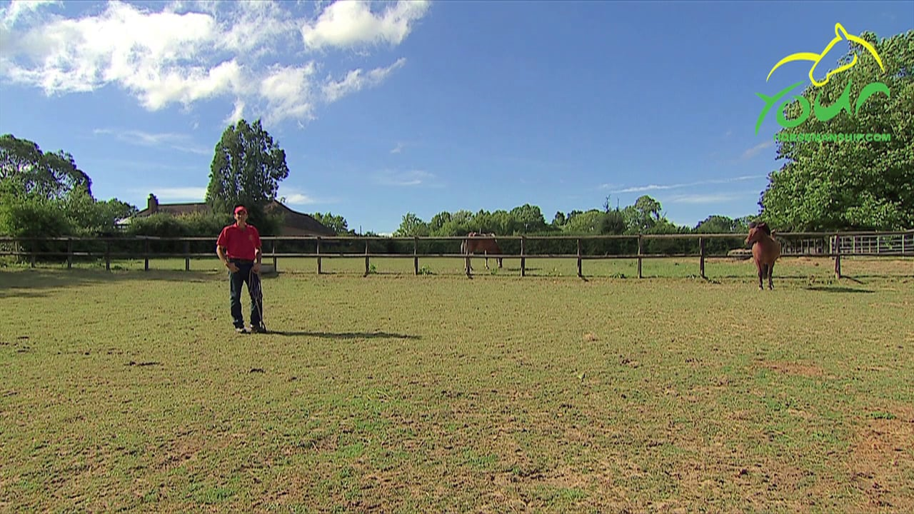 Catching in a field