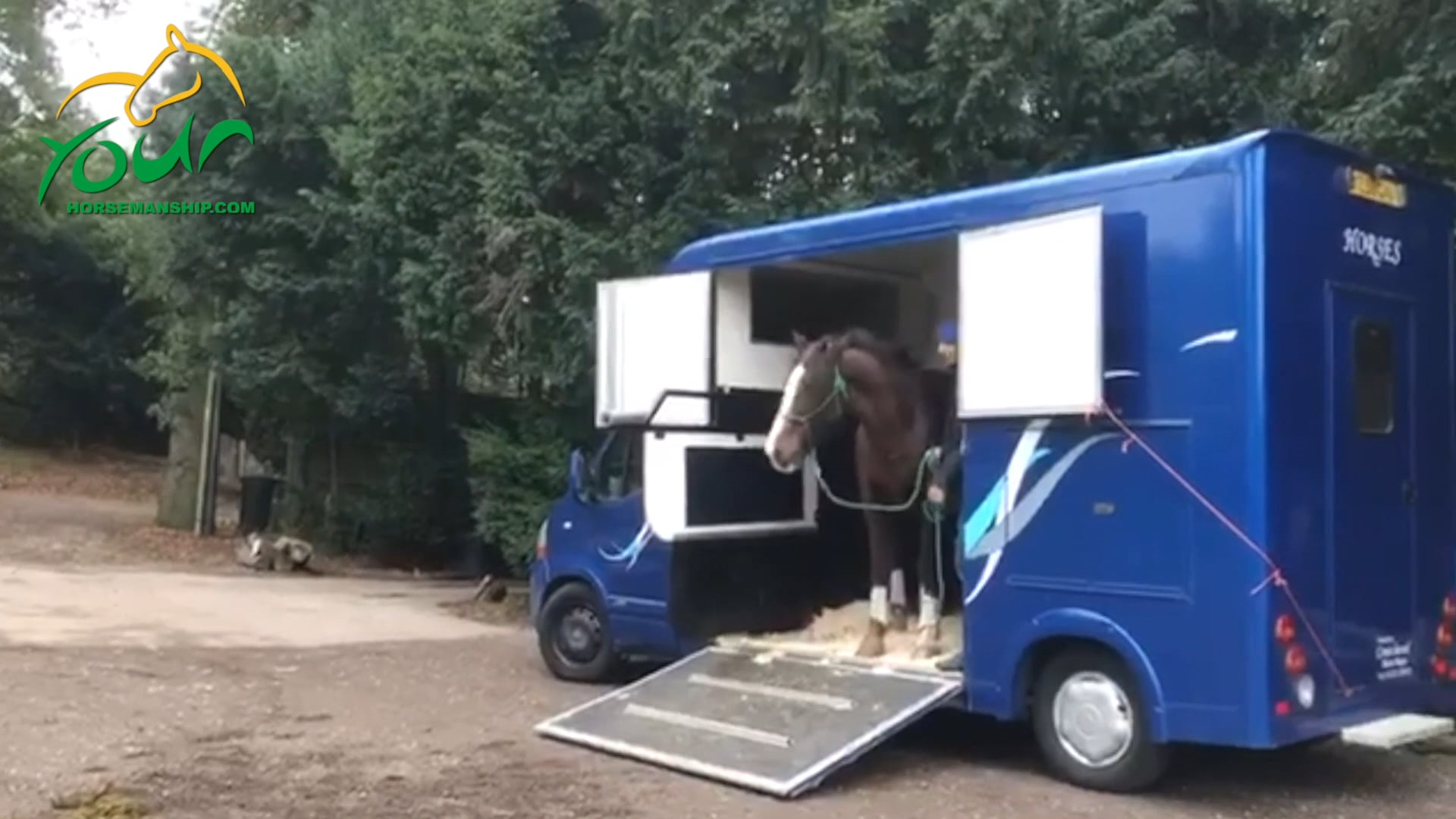 Loading a horse that plants and spins on the ramp