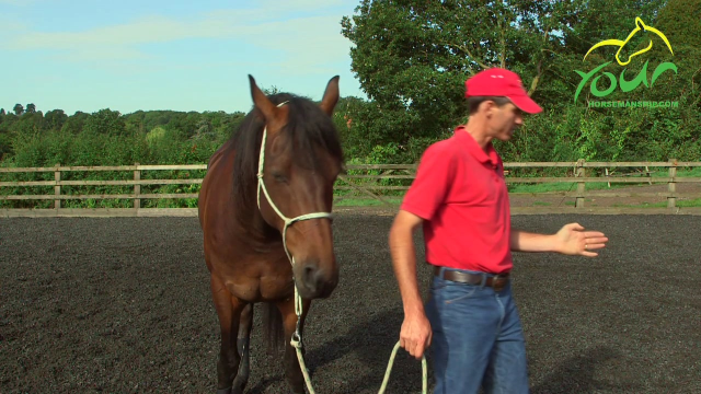 LUNGING FOR CONTROL: Stop on the lunge