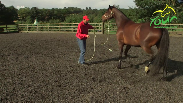 LUNGING FOR CONTROL: Changing direction on the lunge