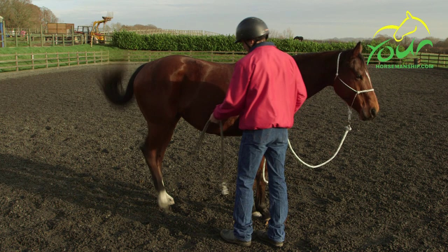 LEG HANDLING: Lift and Rub