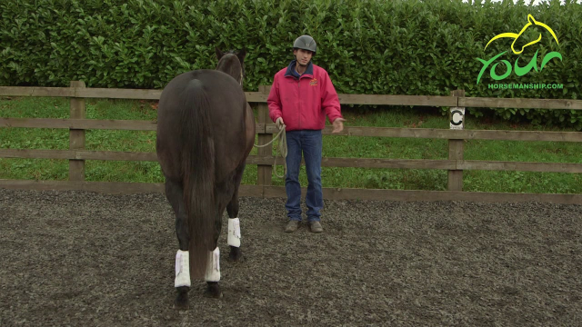 LEADING WITH A WHIP: Lateral movement using a fence