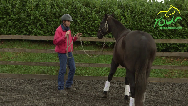 LUNGING FOR CONTROL: Lateral movement using the fence