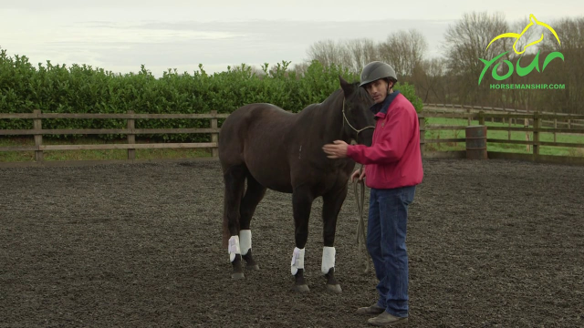 LEADING WITH A WHIP: Lateral movement off the Fence