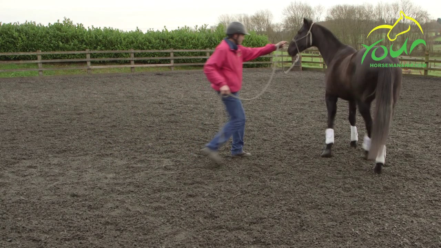 LUNGING FOR CONTROL: Lateral movement off the Fence