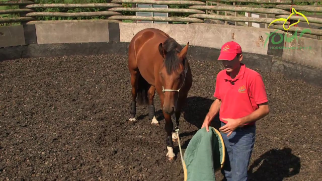 LONG REINING PREPARATION: Introducing the Roller