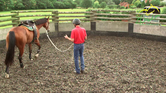 MOUNTING: Saddle and Move