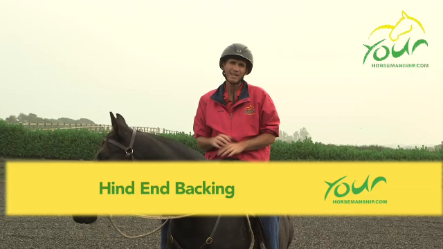 STOPPING CORRECTLY: Hind End Backing