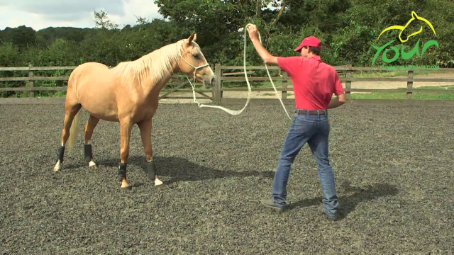 LUNGING FOR CONTROL: Parking