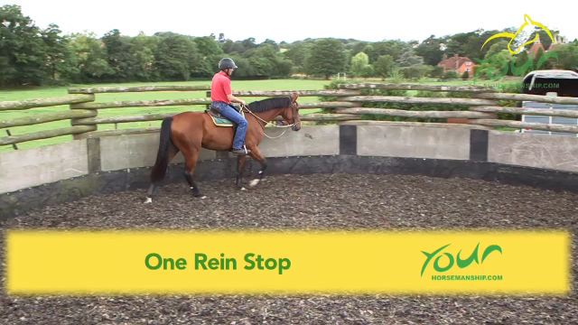 Controlling flight by using a One Rein Stop