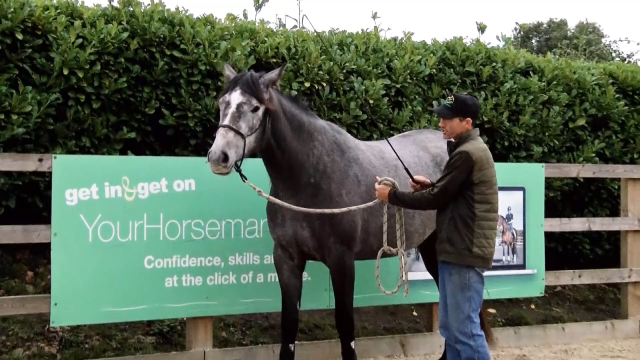 Introduction and horse eye view