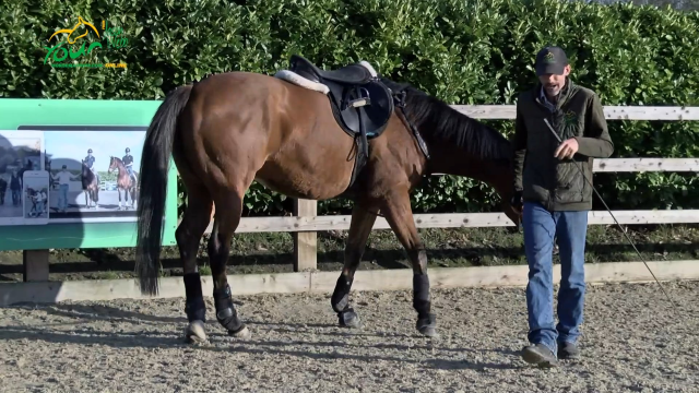 Stand by the block - controlling the hip