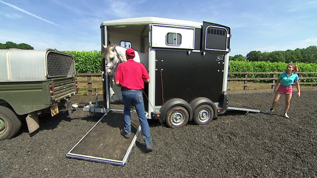 Preventing a horse rushing off the trailer