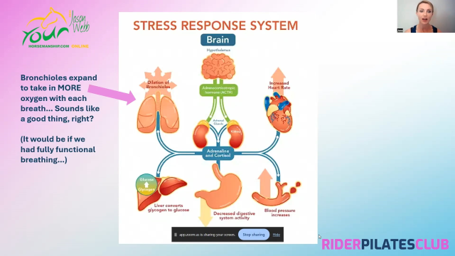 All about breathing with Jess Rudkin