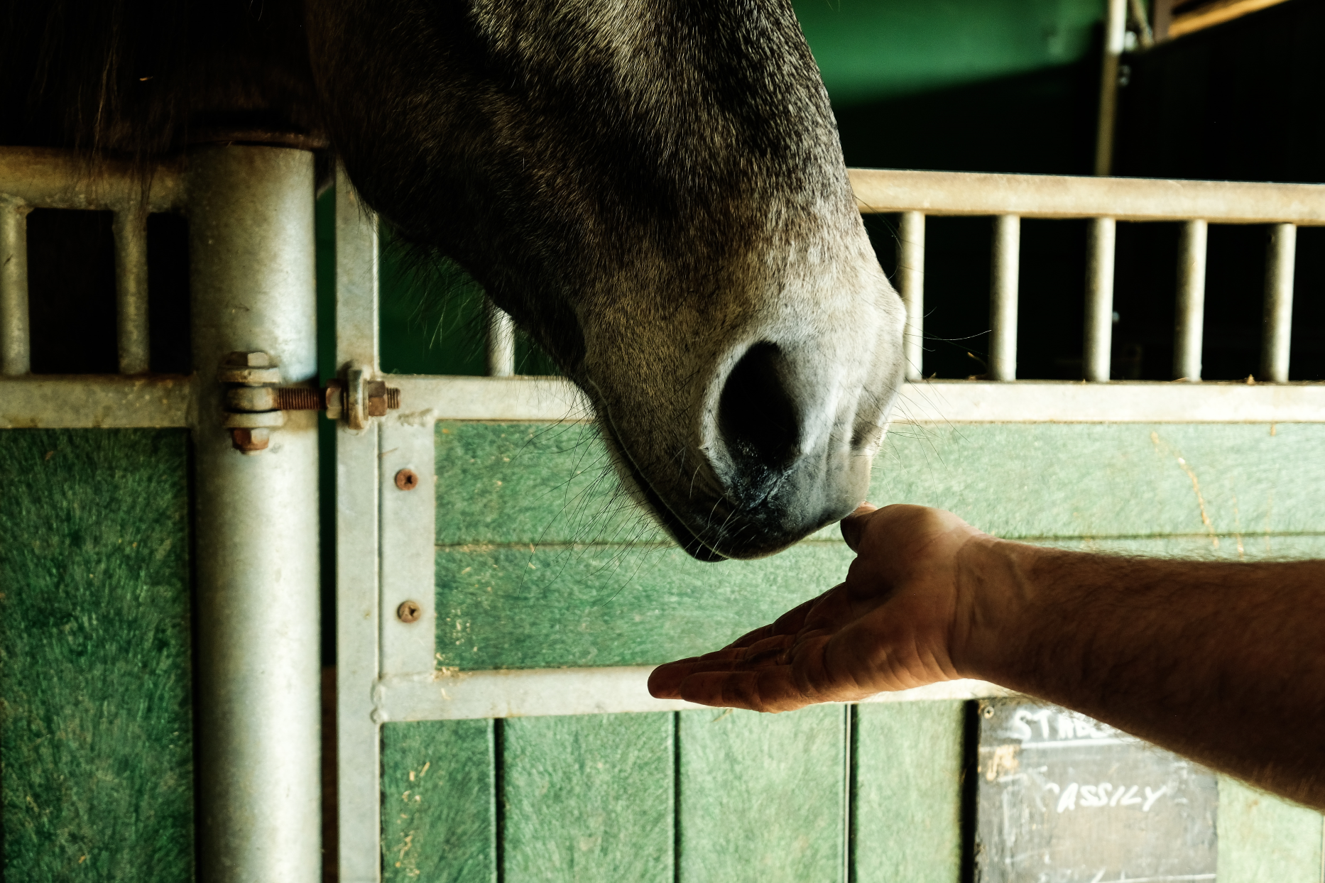 Catching in a stable