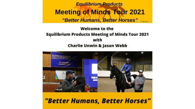 Personal space exercises with an excitable horse