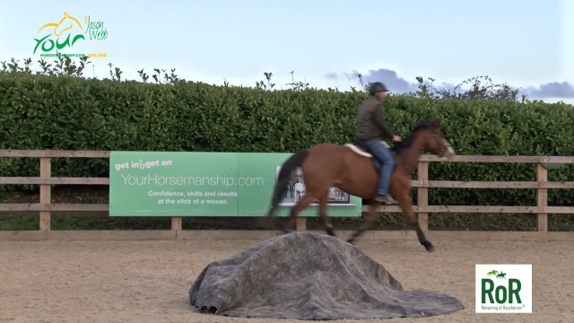 Exercises to help manage spooky horses A