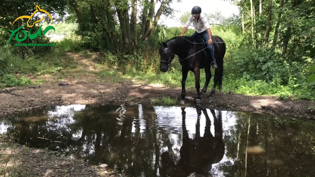 Water jump refusal