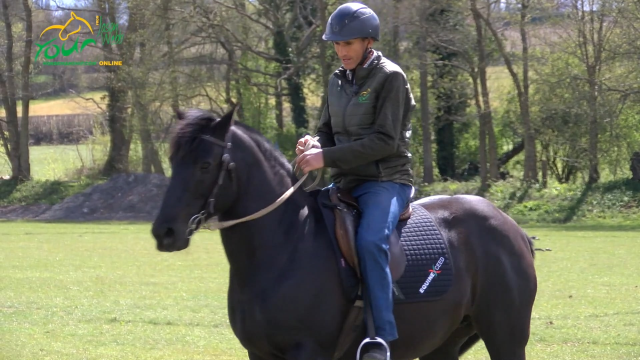 Managing a jogging horse out hacking