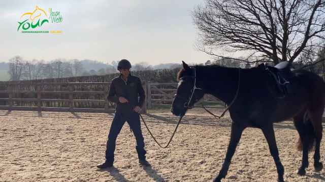Fresh horse or bringing a horse back into work