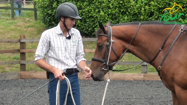 Working with a horse that bucks