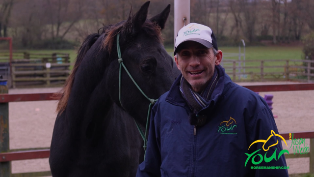 Rugging horses for the first time to prevent rug bolting