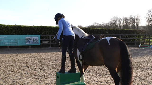 Using Treats for Improving Mounting