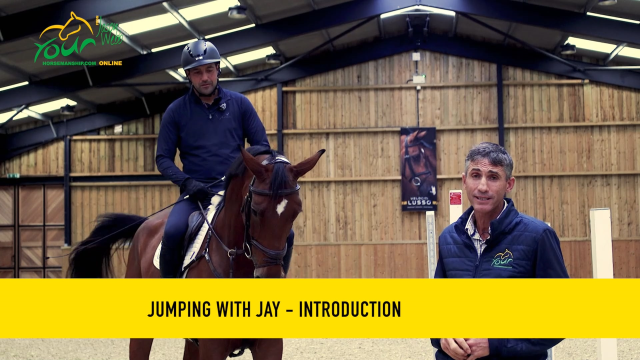 Key Jumping Exercises Introduction with Jay Halim