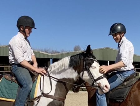 Desensitising a horse to other horses