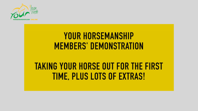 Taking your horse out for the first time