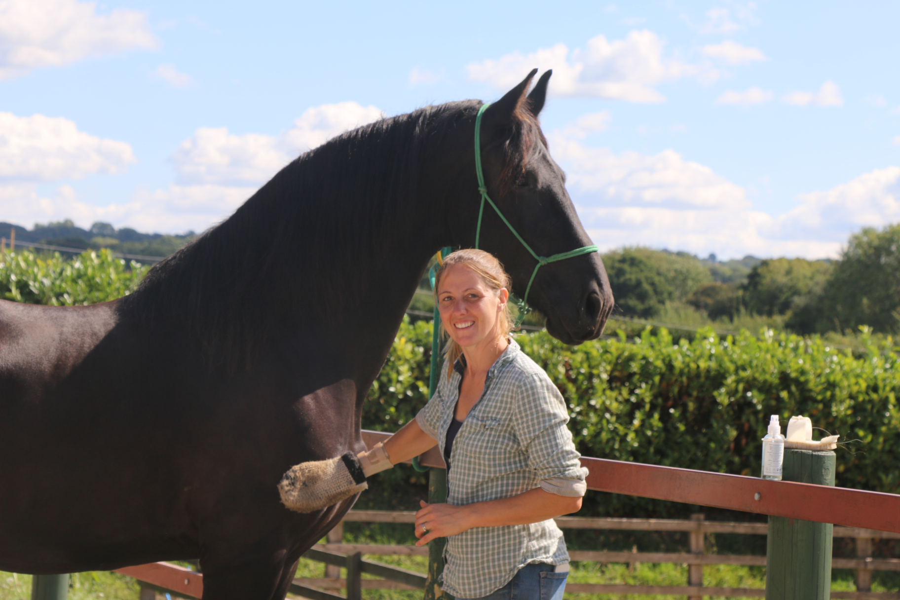 Introduction to Handling on the Yard