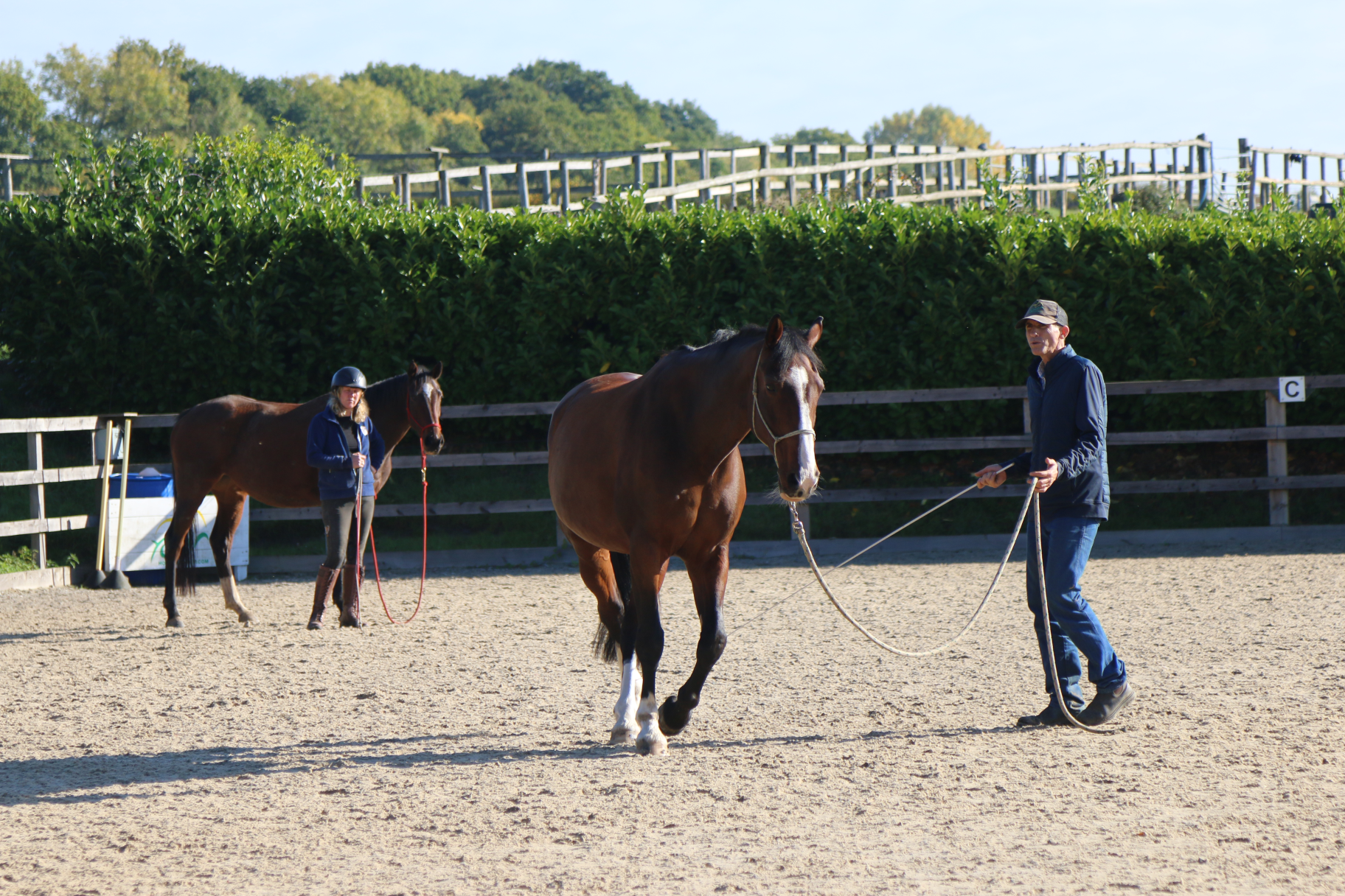 Introduction to Lunging Issues