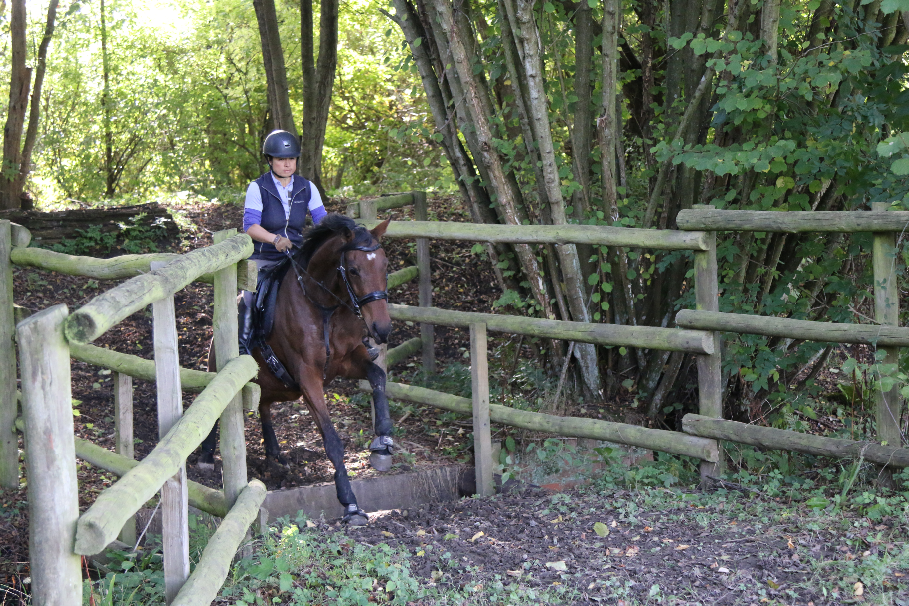Refusing or Jumping Ditches Part 1