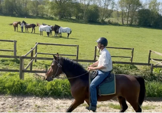Hacking a 4yo stallion out for the first time