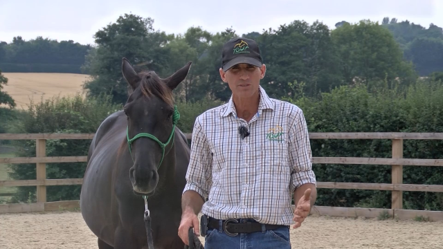 Keeping a horse out of your personal space