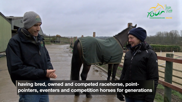 A rearing horse