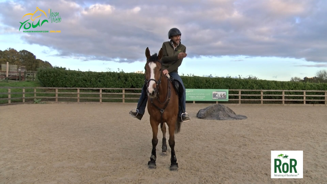 Working with a spooky ex-racehorse